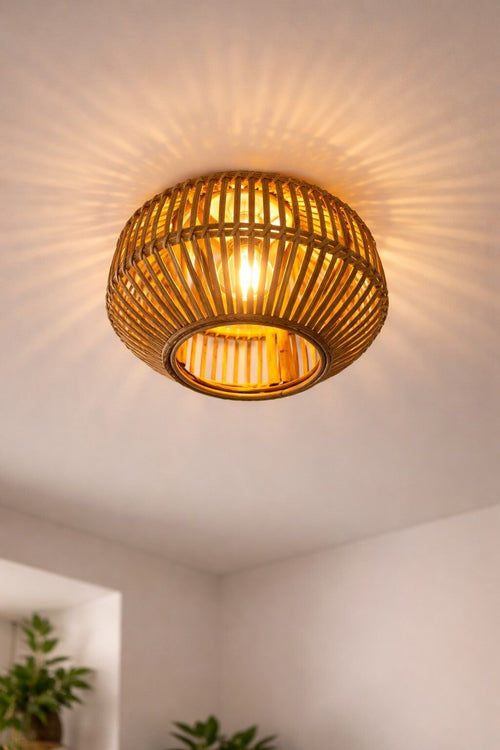 Lamp's
